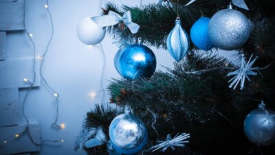 Власти Узбекистана рекомендовали жителям страны встречать Новый год в кругу семьи