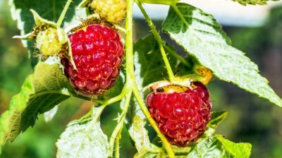 Прогноз погоды на 16 июля: на севере Казахстана жара немного спадёт, а на юге усилится