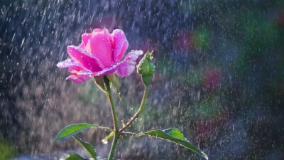 Прогноз погоды на 20 июля: дожди с грозами сохраняются в большинстве регионов Казахстана