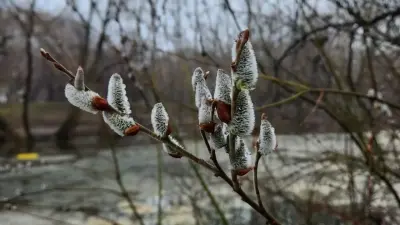 Прогноз погоды на 8 апреля: дождь, гроза и понижение температуры ожидаются на юге Казахстана