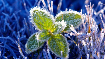 Прогноз погоды на 4 мая: в Алматы и местами на юге Казахстана ожидаются ночные заморозки