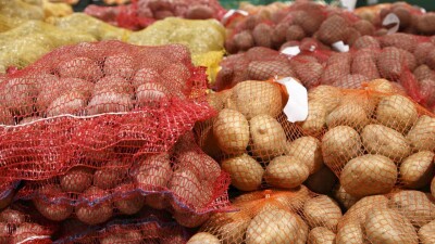 Крупные торговые сети Казахстана готовы закупить картофель у фермеров напрямую