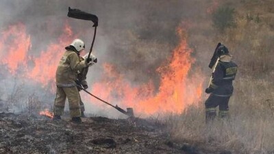 Склон горы горел в Алматы