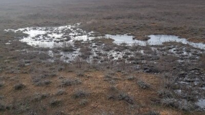 На полмиллиона тенге оштрафовали виновного в разливе нефтепродуктов в Атырауской области