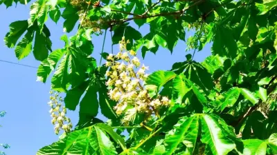 Прогноз погоды на 17 мая: сильная жара сохраняется на юге и востоке Казахстана, дожди пройдут на севере