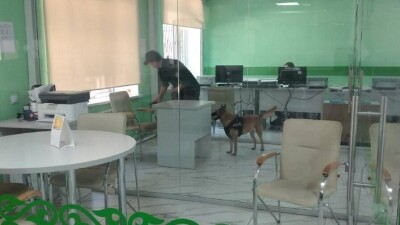140 раз казахстанские полицейские выезжали по сообщениям о заложенных бомбах с начала года