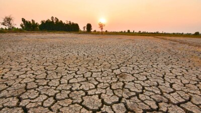 Минсельхоз просит казахстанцев оказать благотворительную помощь пострадавшим от засухи