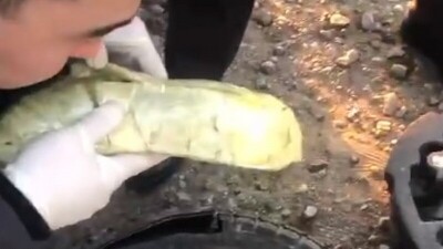 Двух сотрудников полиции с запрещёнными веществами задержали в Атырауской области