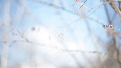 Прогноз погоды на 29 января: плюсовая температура будет днём на юге Казахстана