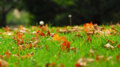 Прогноз погоды на 2 октября: резкое понижение дневной температуры и ветер ожидаются на севере страны