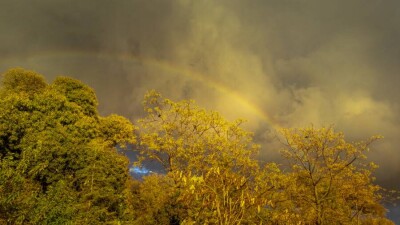 Прогноз погоды на 25 августа: в Алматы ожидается дождь с грозой