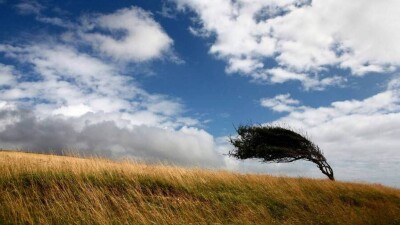 Прогноз погоды на 12 сентября: усиление ветра ожидается на большей территории Казахстана