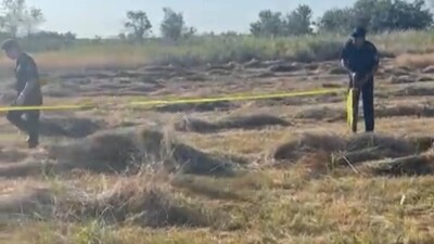Останки пропавшей в марте трёхлетней девочки нашли в Алматинской области