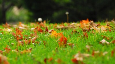 Прогноз погоды на 11 сентября: осадков не ожидается на большей части Казахстана