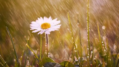 Прогноз погоды на 3 сентября: на западе Казахстана ожидается дождь, на юге – сильная жара