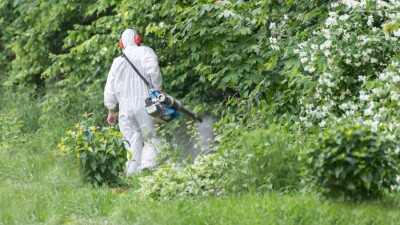 В Атырау для борьбы с комарами решили привлечь учёных