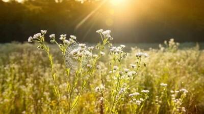 Прогноз погоды на 26 июля: 40-градусная жара сохраняется на юге Казахстана