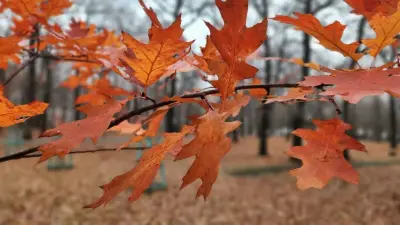 Прогноз погоды на 25 октября: на севере страны местами ожидается гололёд, в Астане – дождь