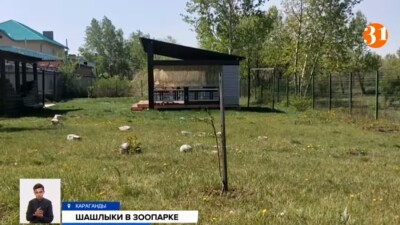 В Караганде владельцы элитных коттеджей устроили зону отдыха на территории зоопарка