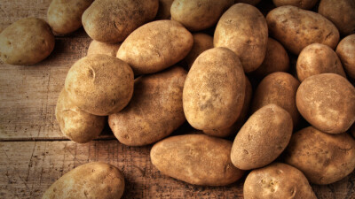 Фермеров Павлодарской области заставляют уничтожить семенной картофель из-за редкой бактерии