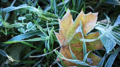 Прогноз погоды на 3 сентября: заморозки на почве ожидаются ночью в Астане