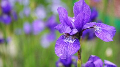 Прогноз погоды на 11 мая: на большей части Казахстана дождей не ожидается