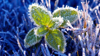 Прогноз погоды на 21 августа: заморозки сохраняются на севере и востоке Казахстана