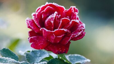 Прогноз погоды на 16 сентября: заморозки ожидаются местами на севере и в центре Казахстана