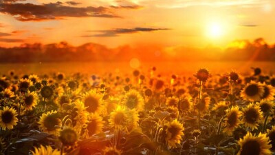 Прогноз погоды на 22 августа: жара сохраняется на большей территории Казахстана