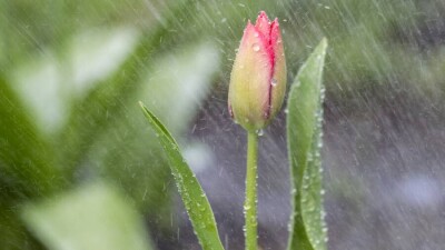 Прогноз погоды на 21 апреля: дождь ожидается почти на всей территории Казахстана