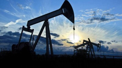 Четверть площади заповедника "Манаши" передадут нефтяной компании в Мангистауской области