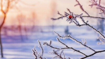 Прогноз погоды на ноябрь: со второй декады на большей части Казахстана температура будет понижаться до -25