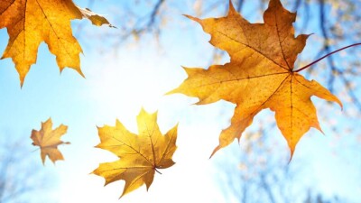 Прогноз погоды на 15 октября: тепло и без осадков будет по всему Казахстану