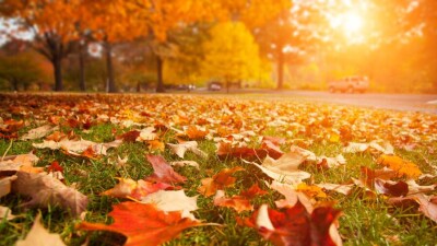 Прогноз погоды на 19 октября: тепло сохраняется на большей части территории Казахстана