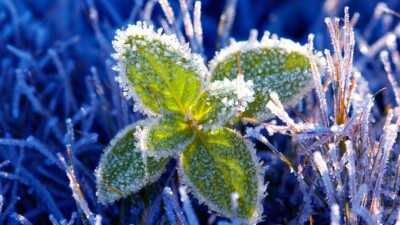 Прогноз погоды на 24 апреля: ночные заморозки ожидаются на севере и востоке Казахстана