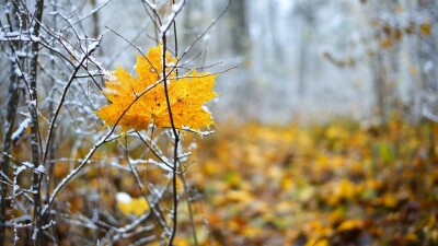 Прогноз погоды на 17 сентября: минусовая температура ожидается на севере и востоке Казахстана