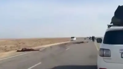 Сразу две машины столкнулись с лошадью на трассе в Мангистау, погибли два человека