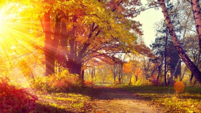 Прогноз погоды на 16 октября: осадков не ожидается на большей части Казахстана