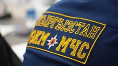 Экс-главу МЧС Кыргызстана задержали и водворили в изолятор