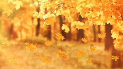 Прогноз погоды на 11 октября: усиление ветра ожидается на юге и западе Казахстана