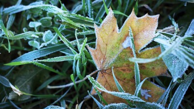 Прогноз погоды на 28 октября: морозы приходят на север Казахстана