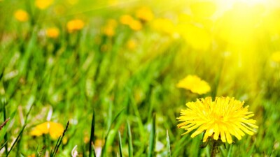 Прогноз погоды на 28 апреля: до 28 градусов тепла ожидается на севере Казахстана