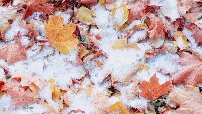 Прогноз погоды на 15 ноября: небольшое потепление ожидается на всей территории Казахстана