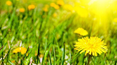 Прогноз погоды на 26 мая: на севере Казахстана ожидается 30-градусная жара, на западе – заморозки