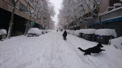 Мощный снегопад парализовал Испанию. Погибли три человека