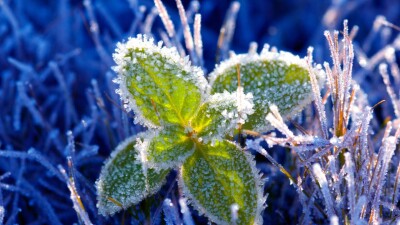 Прогноз погоды на 14 апреля: понижение температуры ожидается на всей территории страны, кроме юга