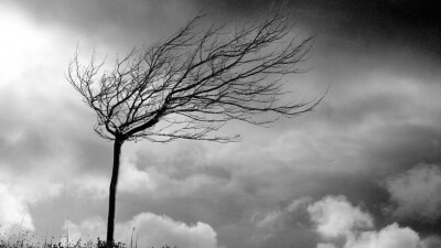 Прогноз погоды на 29 января: шквальный ветер ожидается на юге Казахстана