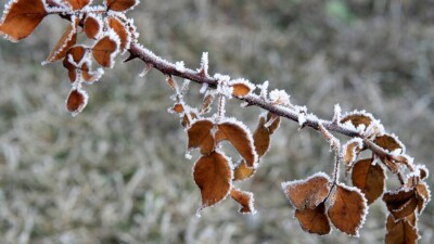 Прогноз погоды на 16 ноября: 20-градусные морозы ожидаются ночью на севере Казахстана