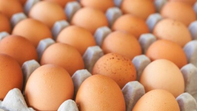 Куриные яйца запретили ввозить в Казахстан на автомобилях