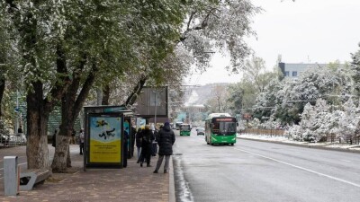 Как будут ездить автобусы в Алматы во время зимнего забега "Winter Run 2023"